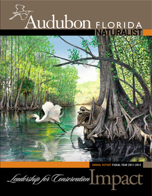 Florida Audubon Naturalist magazine, winter 2012-2013 issue